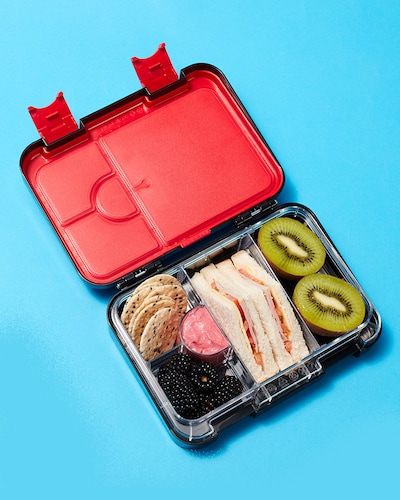 Bento Lunchboxes