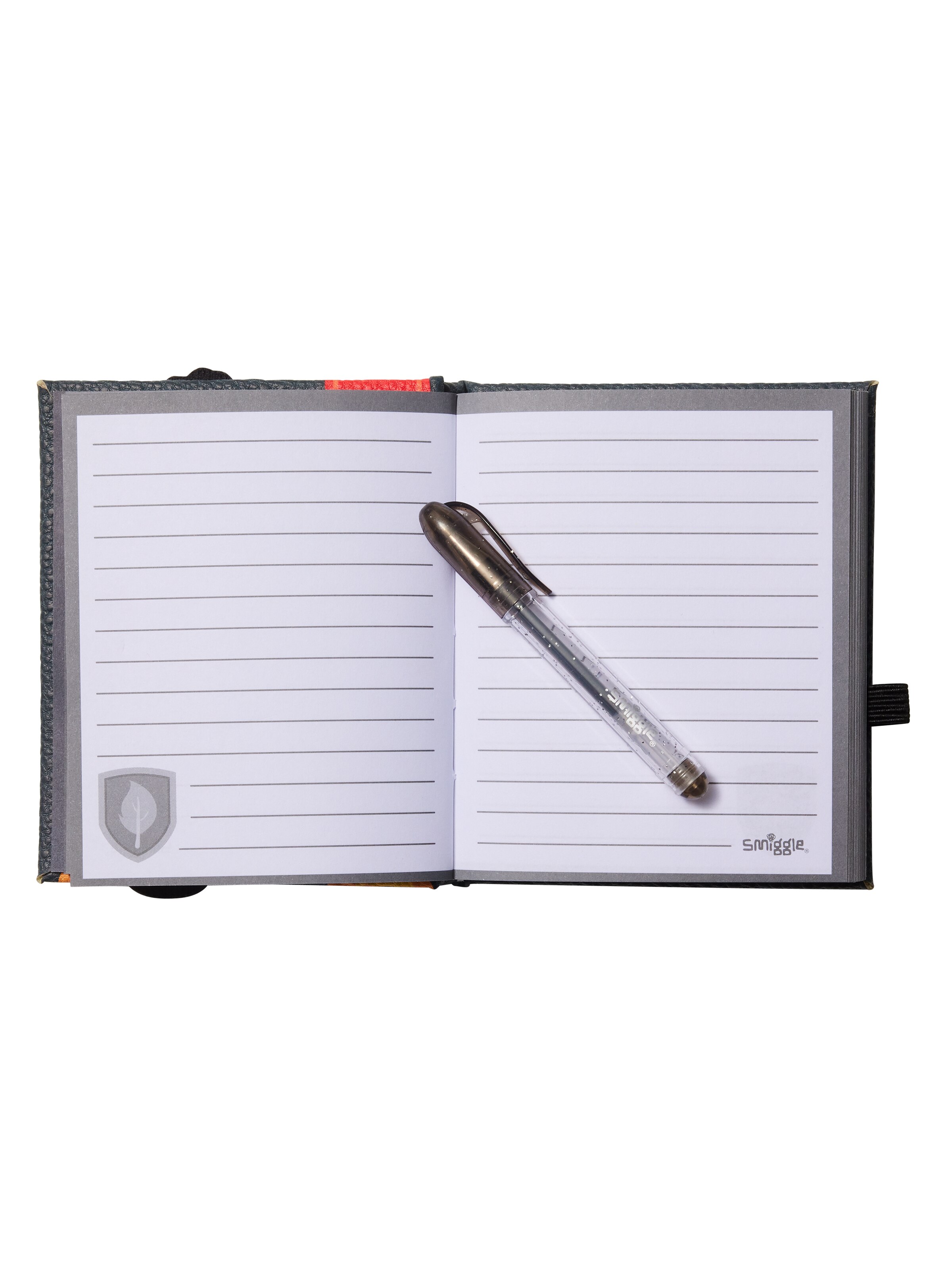 Dragon Trails Mini Notebook