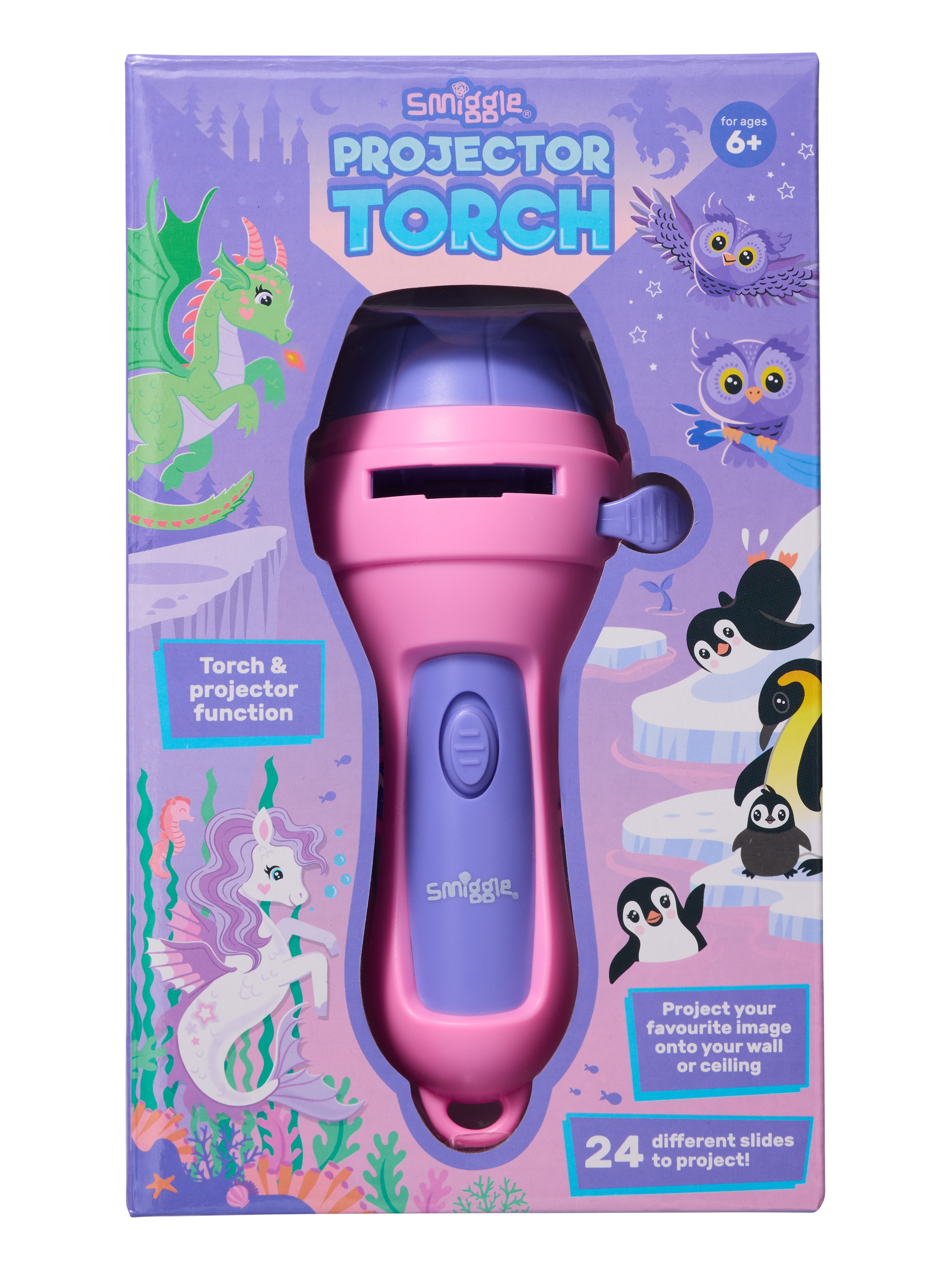 Torch Projector