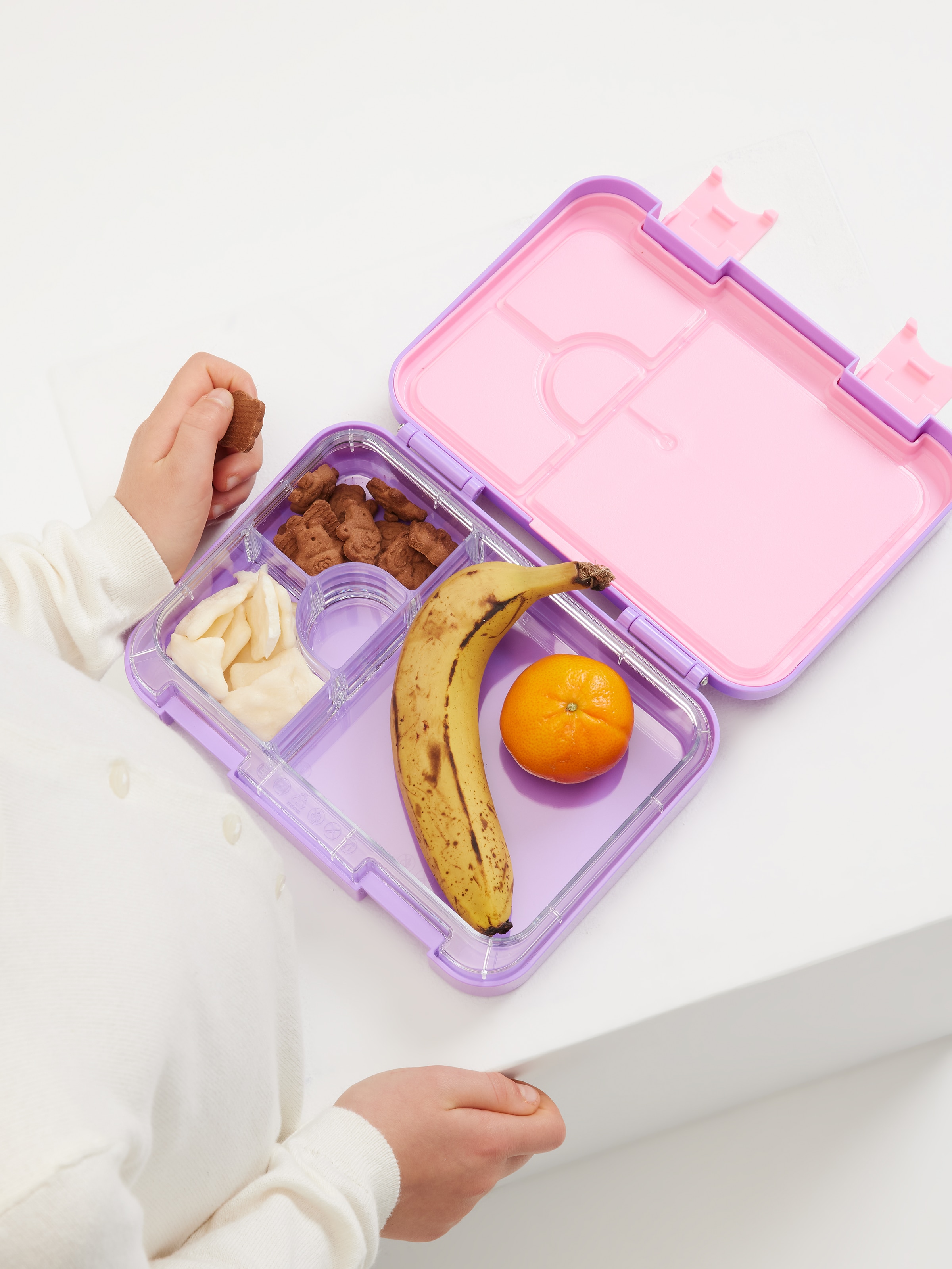 Eclipse Medium Bento Lunchbox