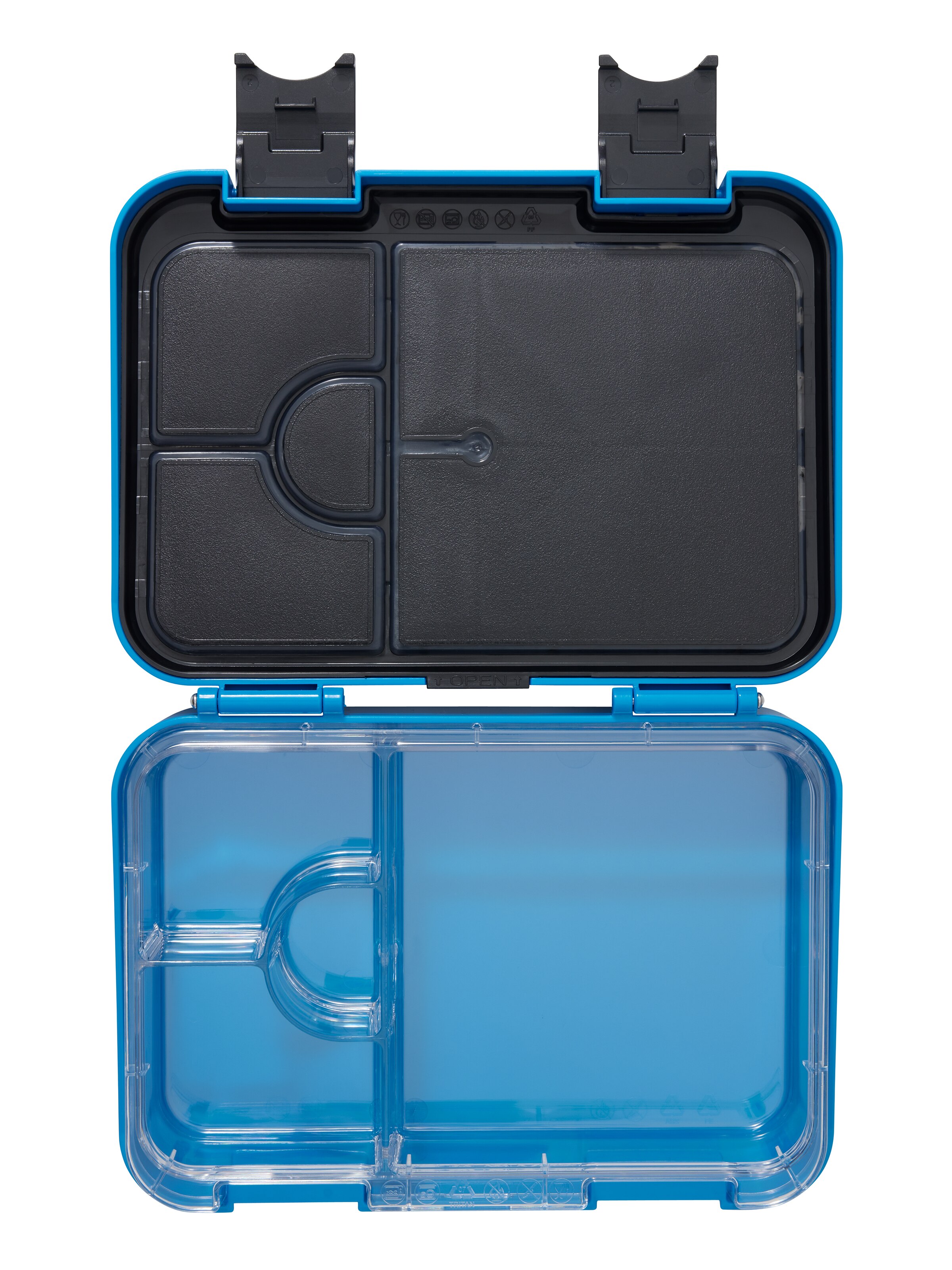 Curious Medium Bento Lunchbox