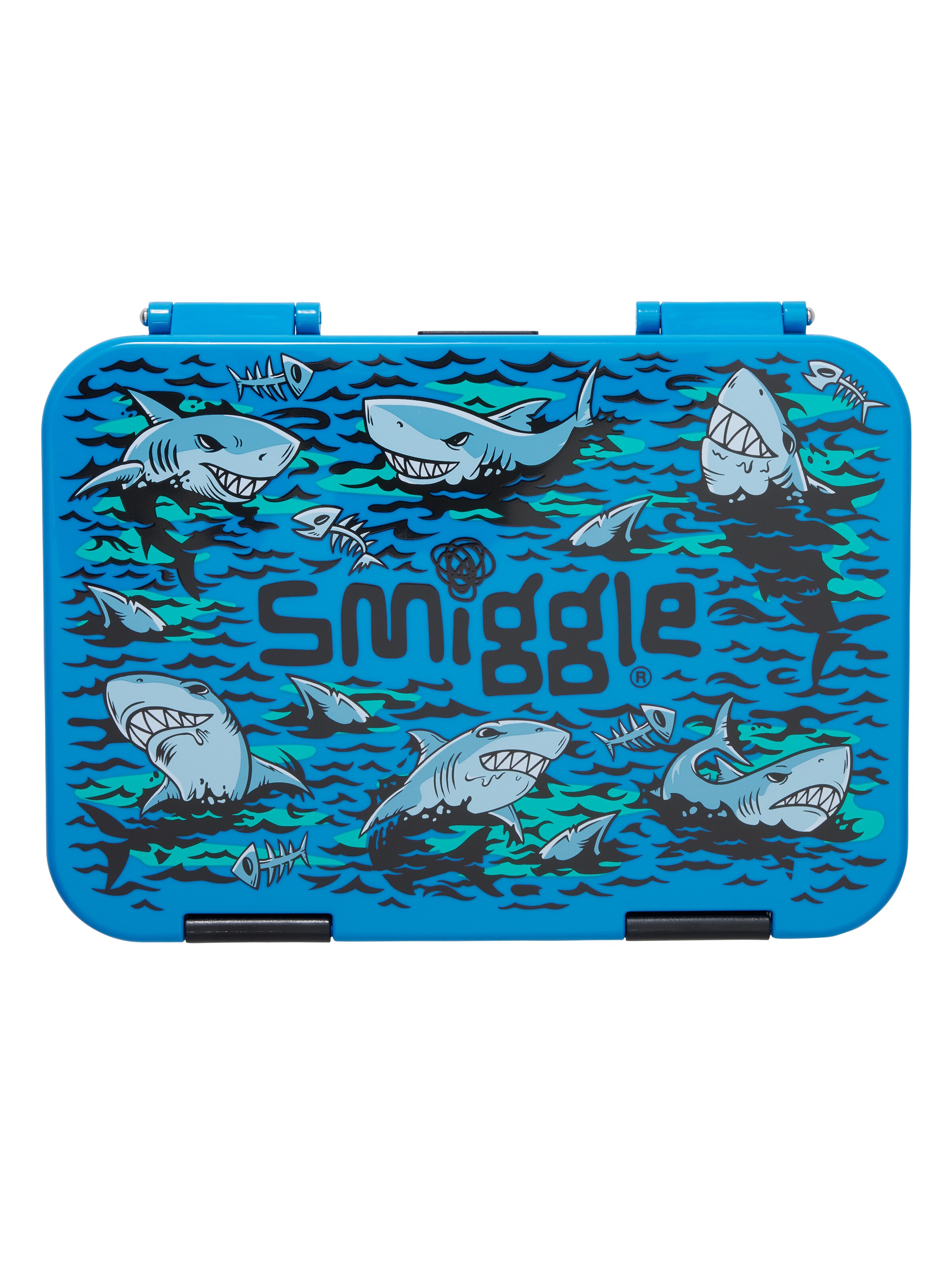 Curious Medium Bento Lunchbox