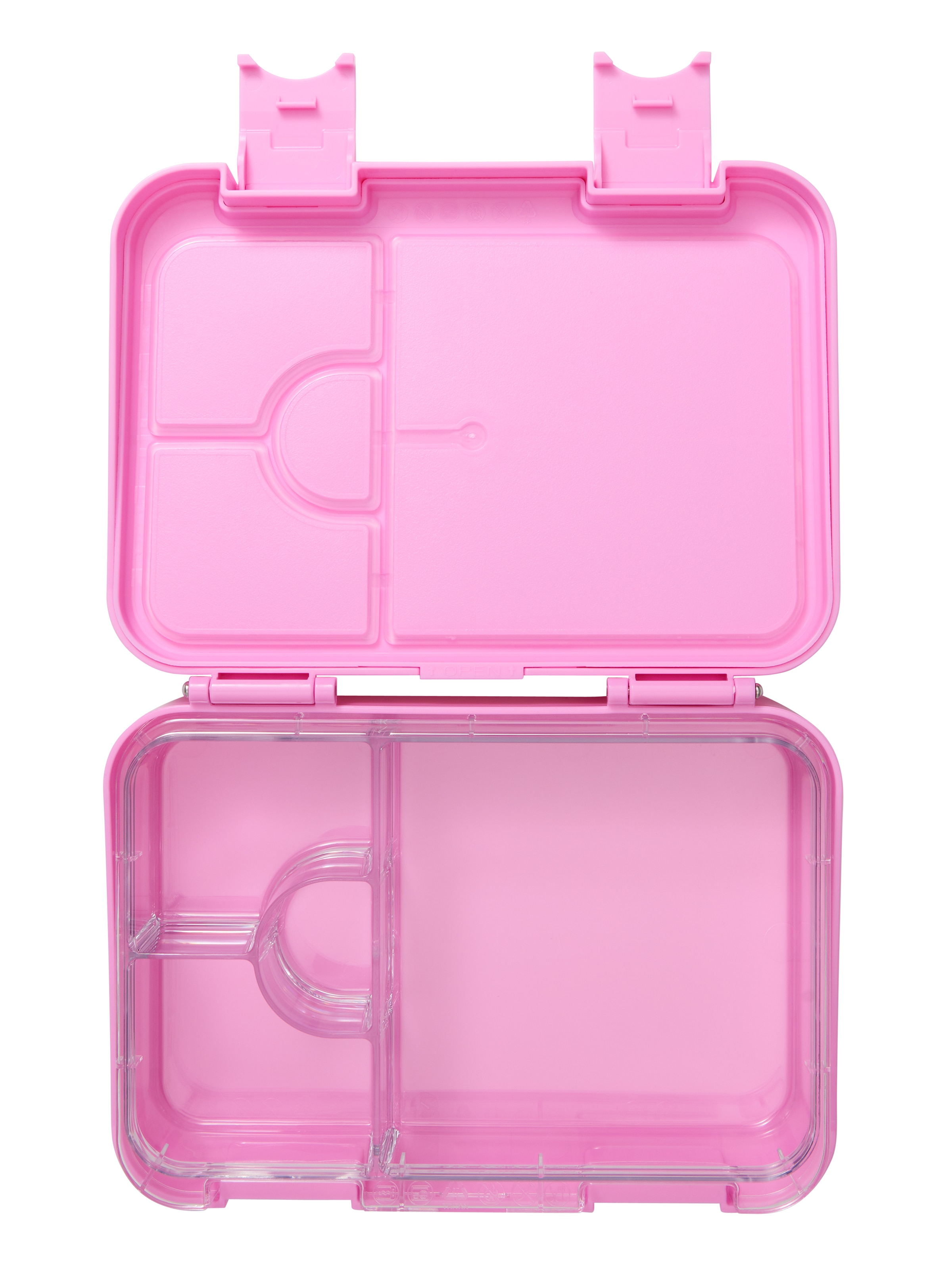 Radiant Medium Bento Lunchbox