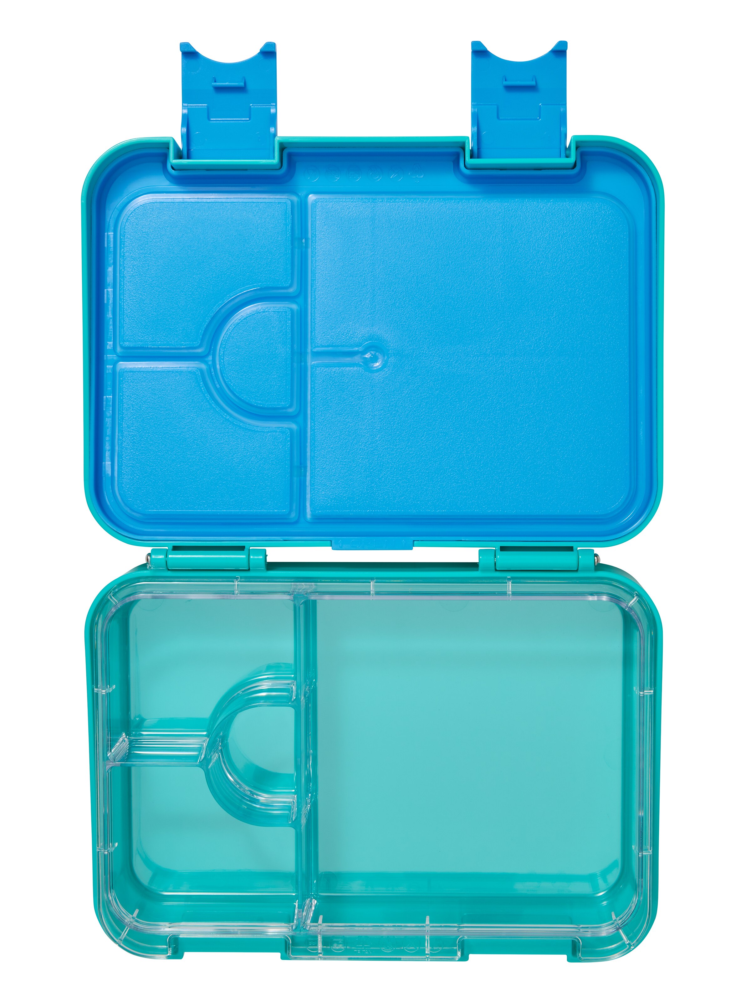 Adventurous Medium Bento Lunchbox