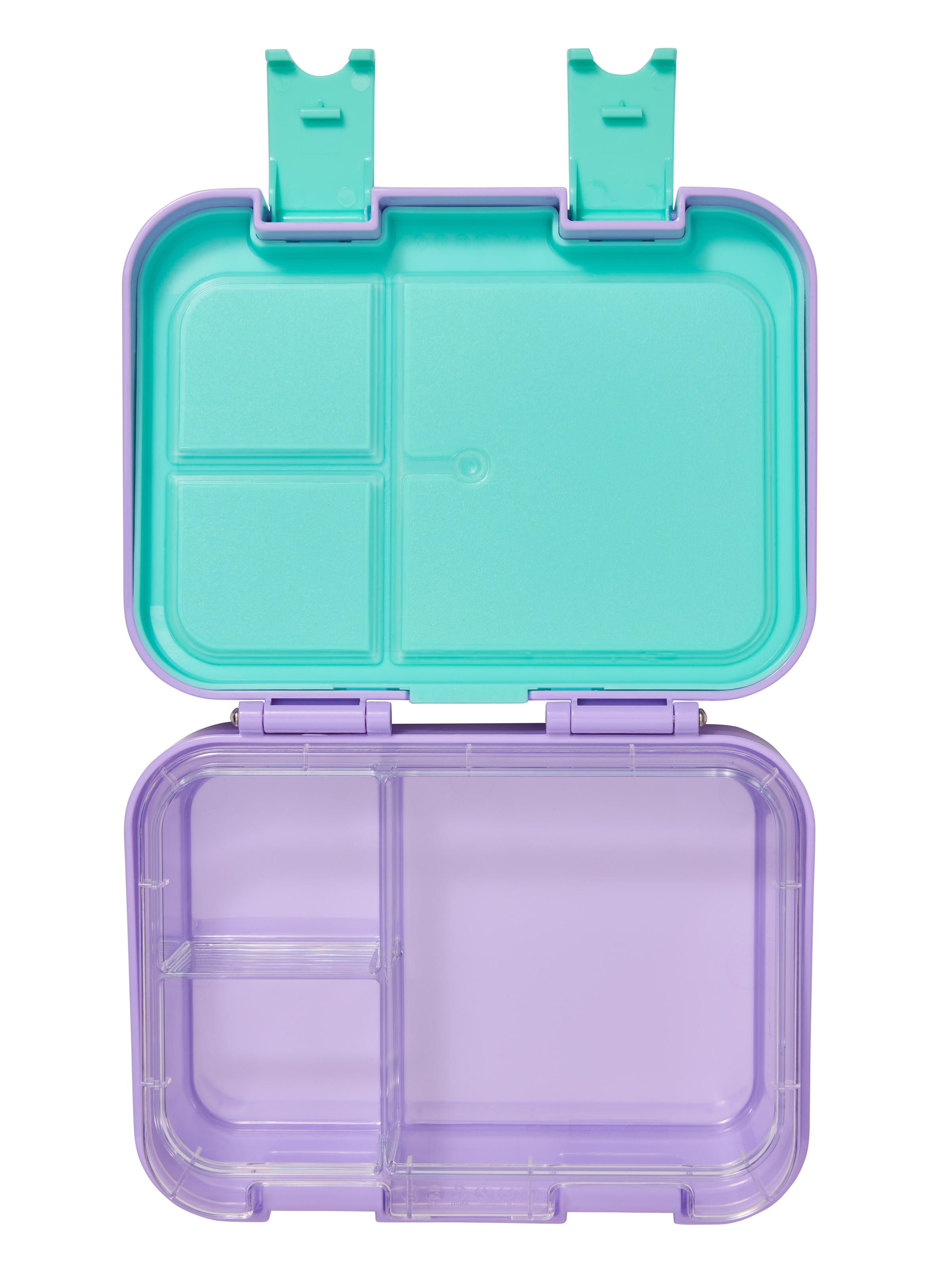 Adventurous Small  Bento Lunchbox