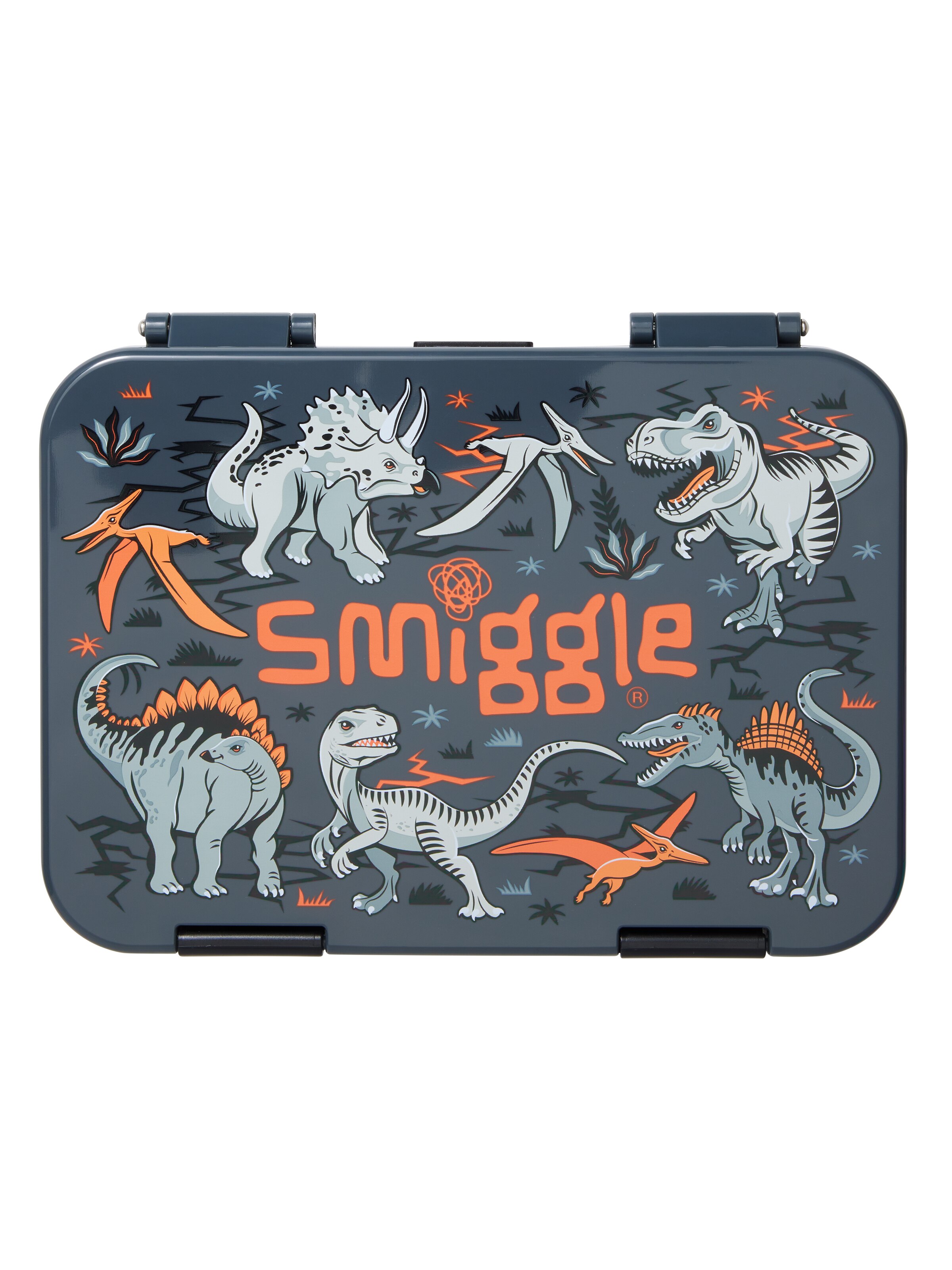 Playtime Medium Bento Lunchbox