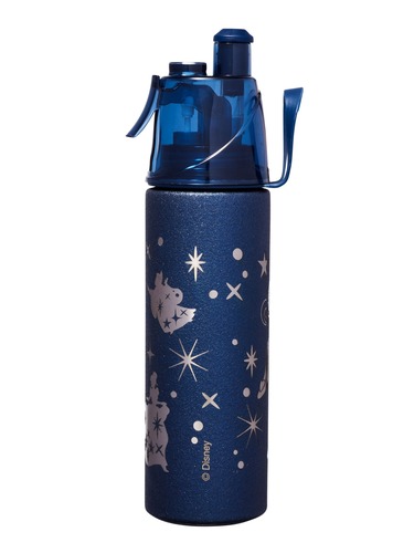 Disney Princess Insulated Stainless Steel Spritz Drink Bottle 500Ml                                                             